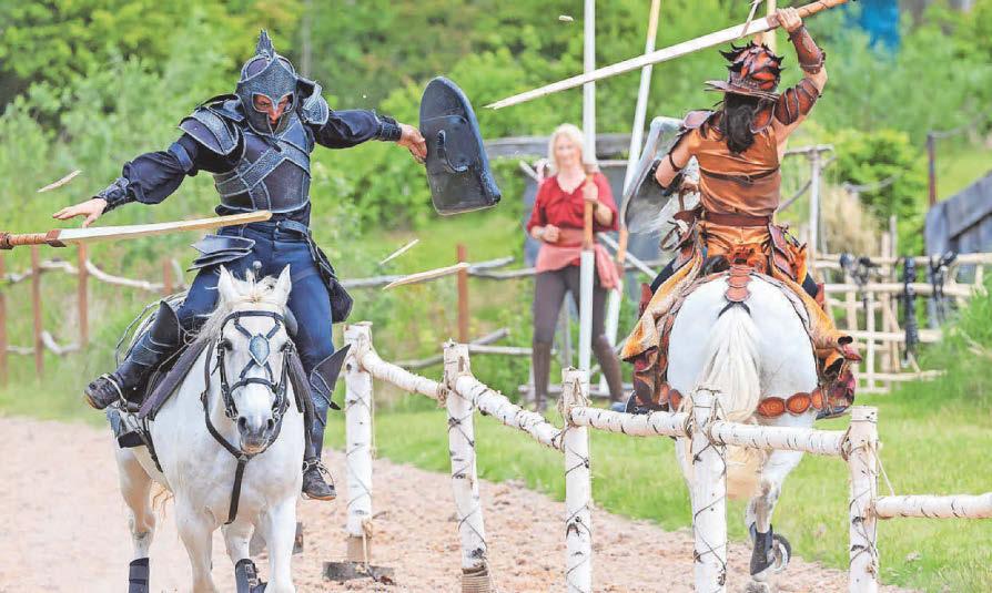 Kynren calls on equestrian talent to join its team