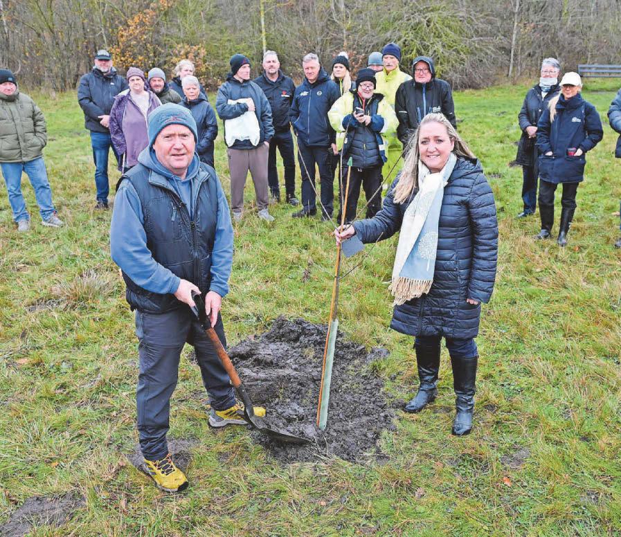 Sapling from Sycamore Gap tree takes root in country park