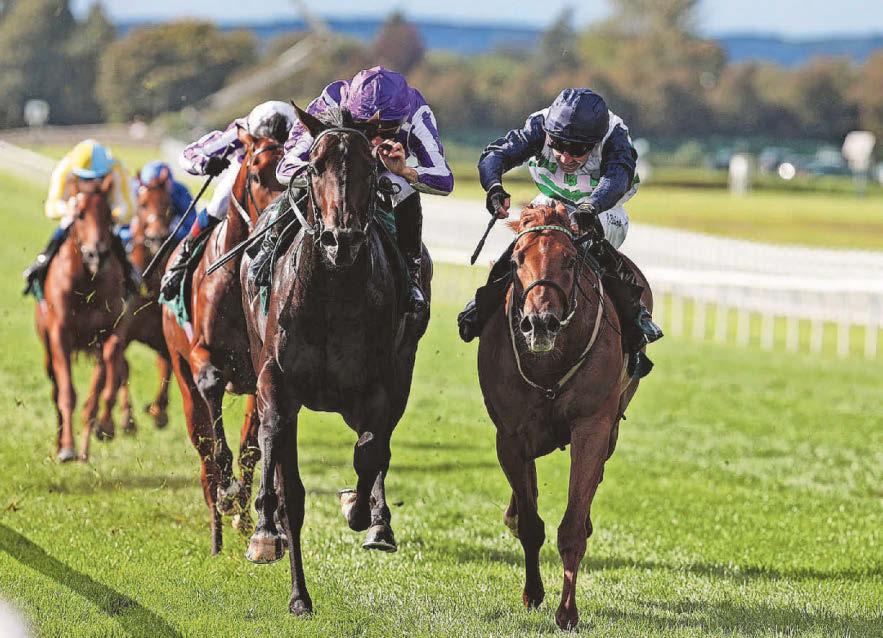 Zavateri stars in a season to remember