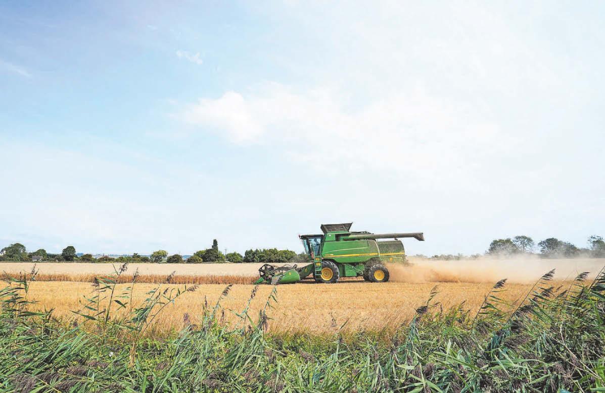 Farming collective sees profits rise in face of volatile prices for grain
