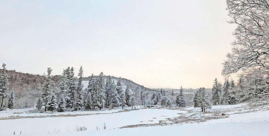 Freezing conditions to persist as schools and roads hit by icy blast