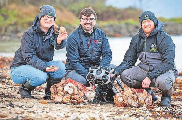 Charity takes next step in bid to restore lough’s oyster reefs