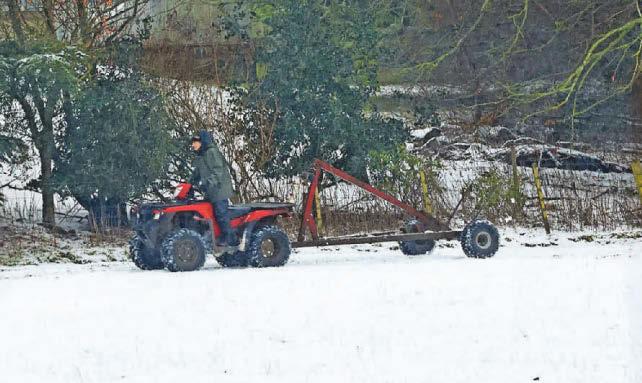 Disruption across region as snow and ice descend