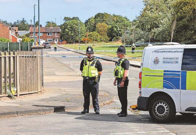 Multi-car crash shuts road