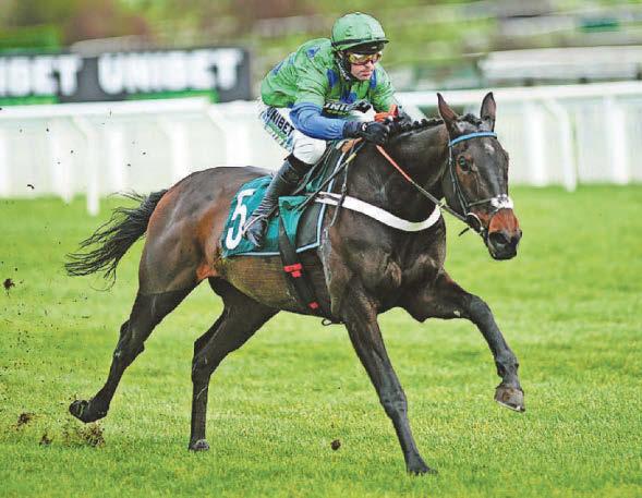'Unreal' to own new favourite for Hurdle