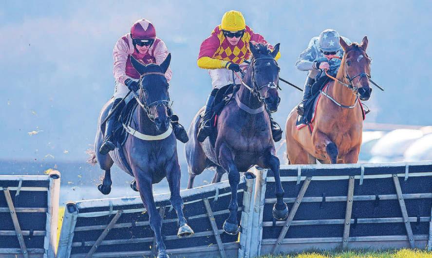 Excellent chance for Excelero at Warwick