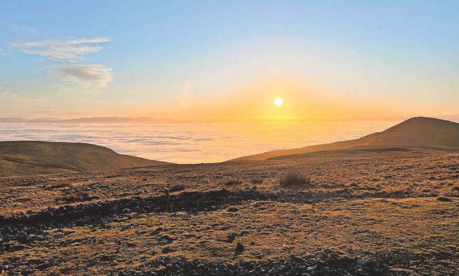 North peatland restorers reach 20-year milestone