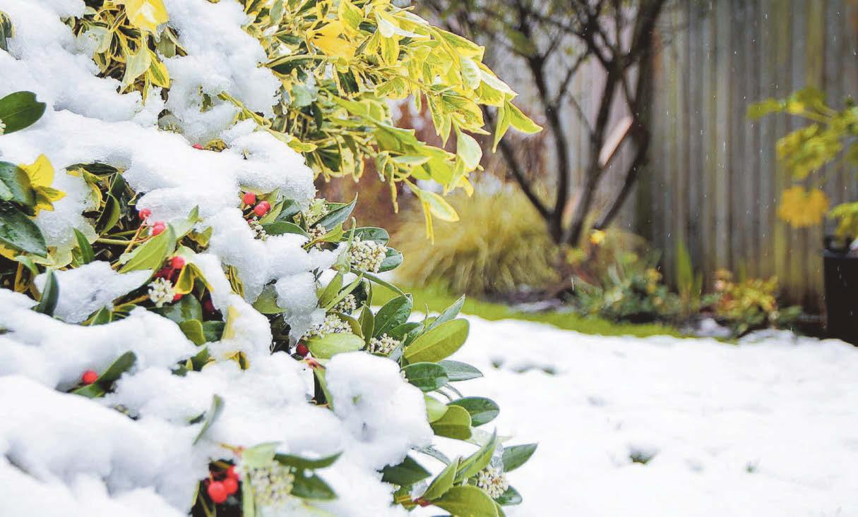 Time for a garden reset...
