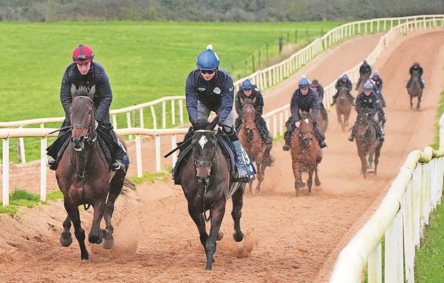 Romeo Cheltenham decision to be left late