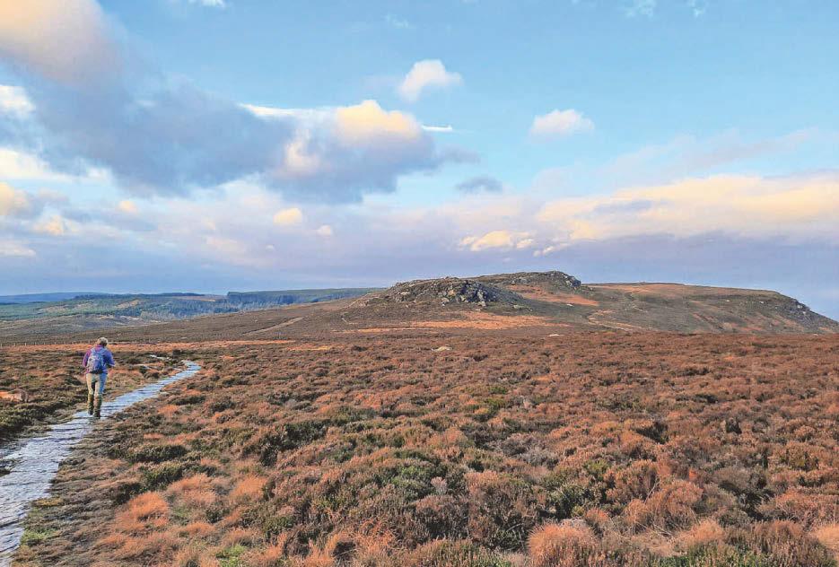 Fundraising bid for Rothbury Estate at halfway milestone