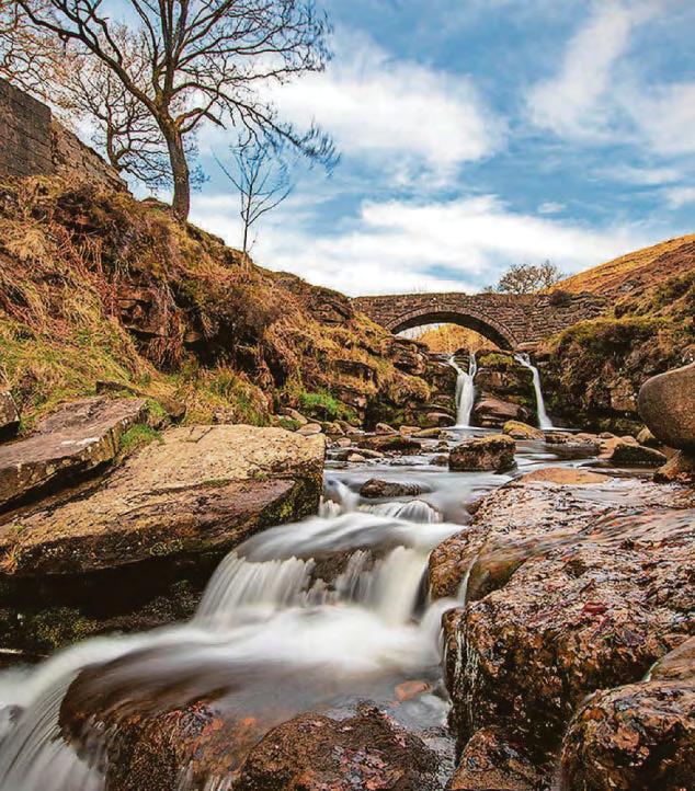Exhibition promises to be picture perfect