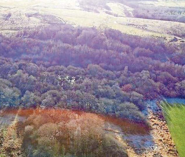 Unpopular homes plan set to be scaled back