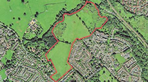 Developers set sights on more green spaces