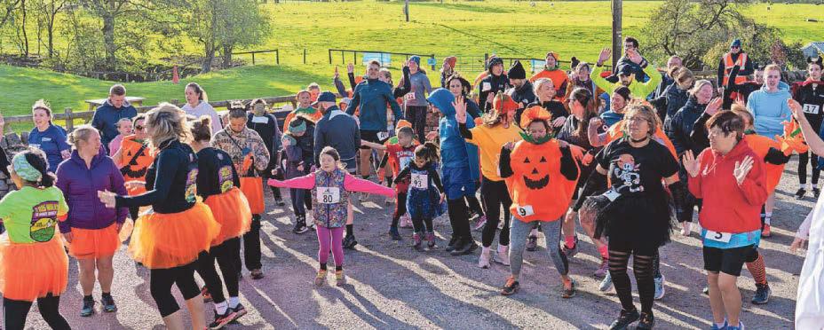 Dash of orange lifts the gloom