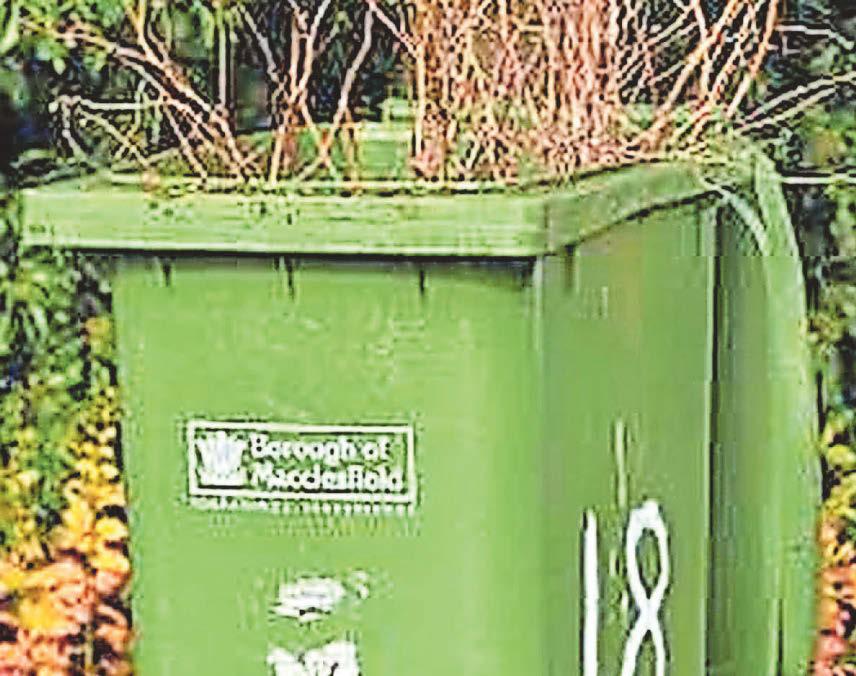 Sharp rise in green bin subs charges