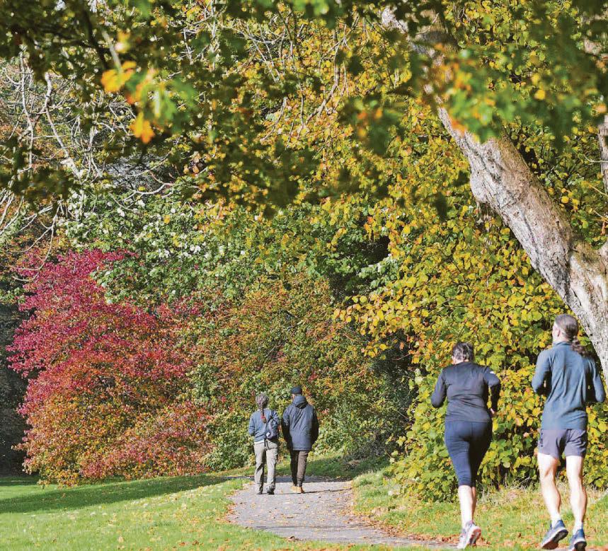 Park set for enhancements after funding boost