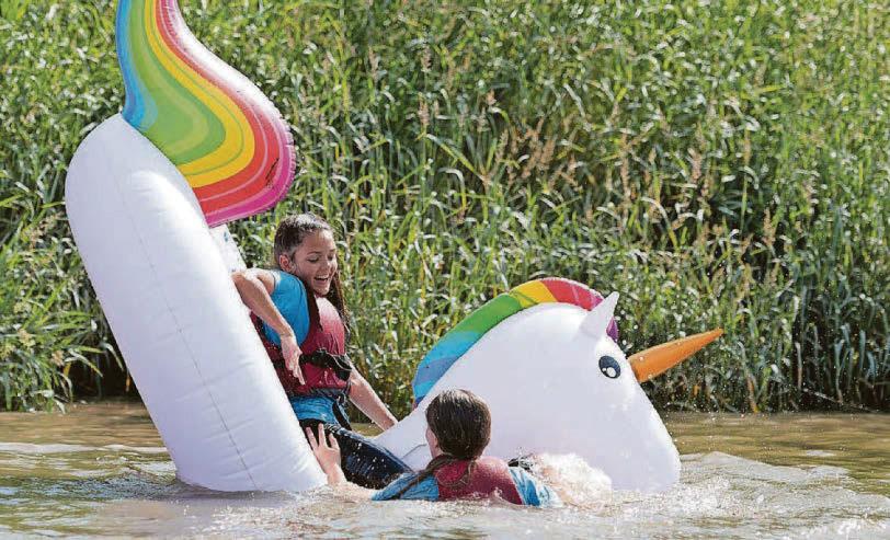 A fun event for all the family – and you'll get to hear my jokes (again)