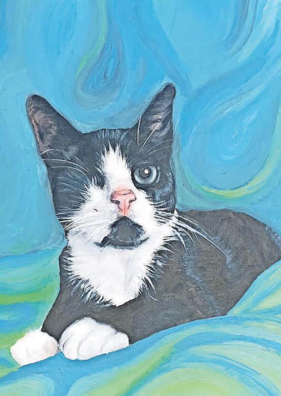 Josie wins regional round of pet charity's art contest