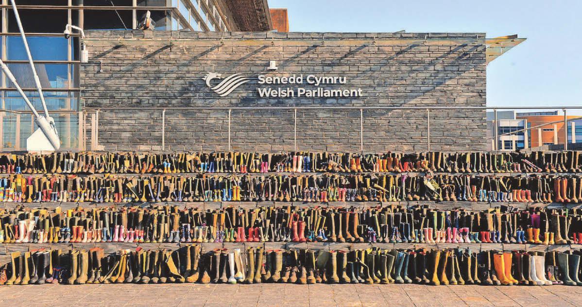 'Alarm bells' over revamp of Wales farming scheme