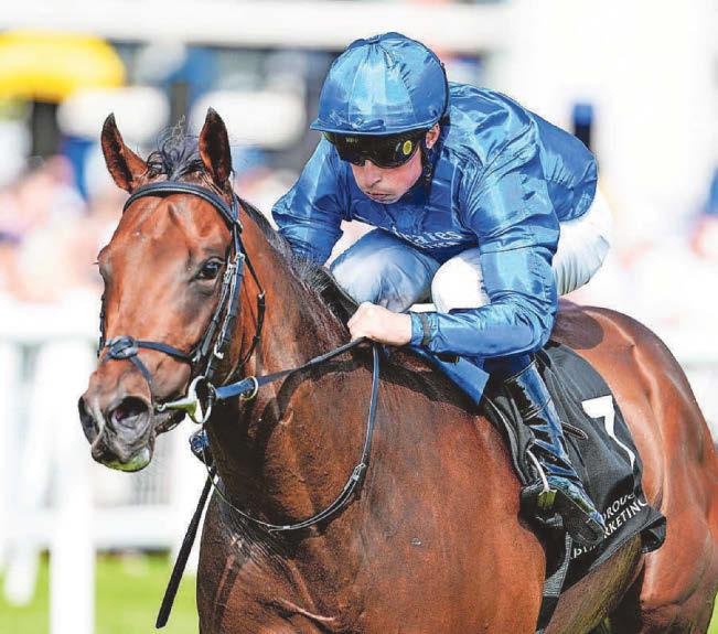 Wise Approach makes his mark