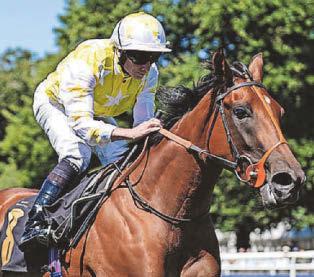 HORSE POWER Orion's Belt can compete with the stars at Sandown