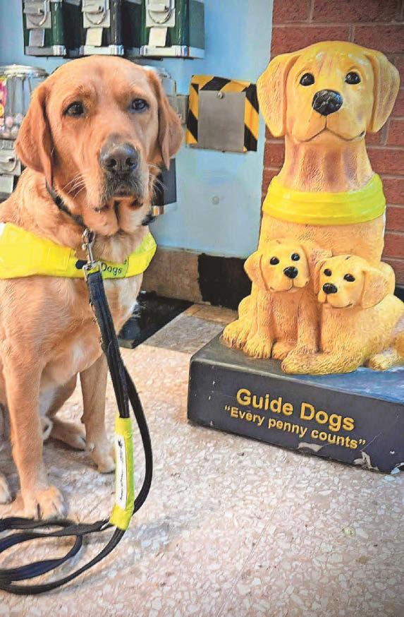 Painting work is guiding inmates to improve lives