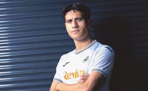 Stamenic signs for Swans