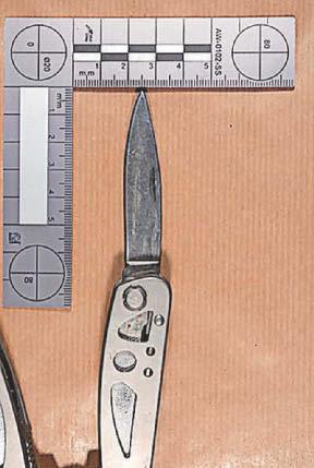 School stab girl considered for anti-terror programme