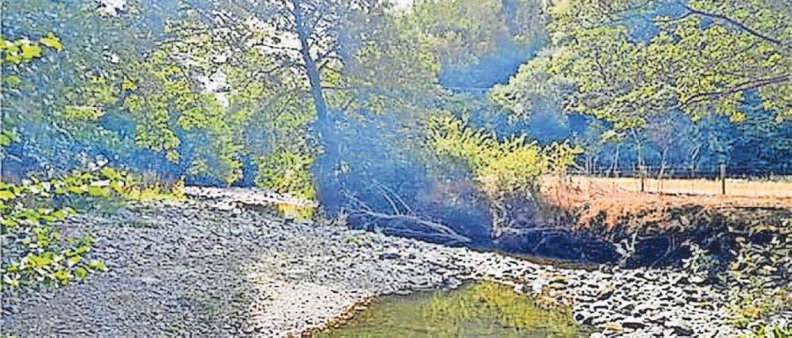 Rainfall helps region avoid drought