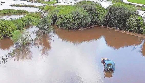 Heartbreak as flash flood kills hundreds of sheep