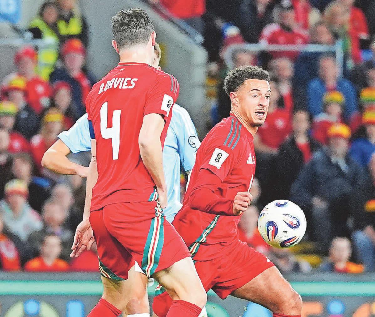 Handball rules have to be the same everywhere - Bellamy