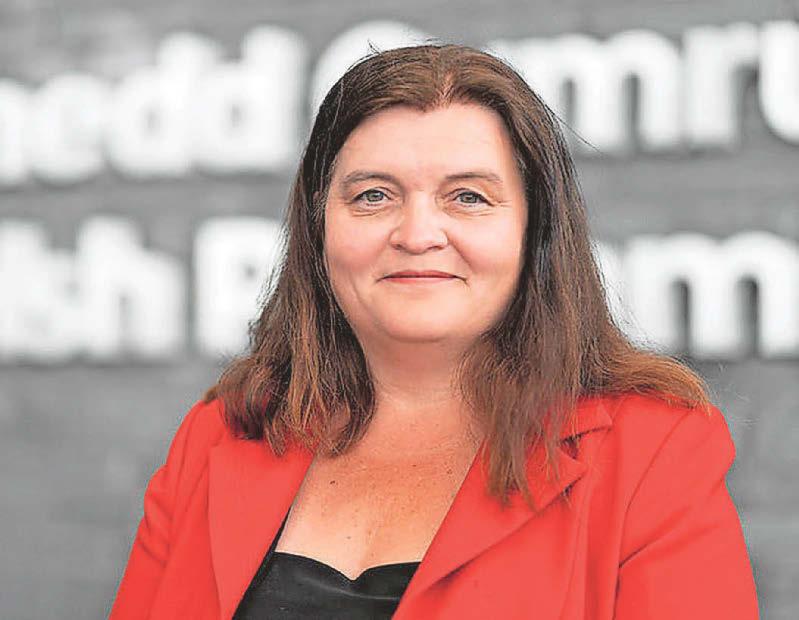 MS cautions on 'deep divisions' facing Wales