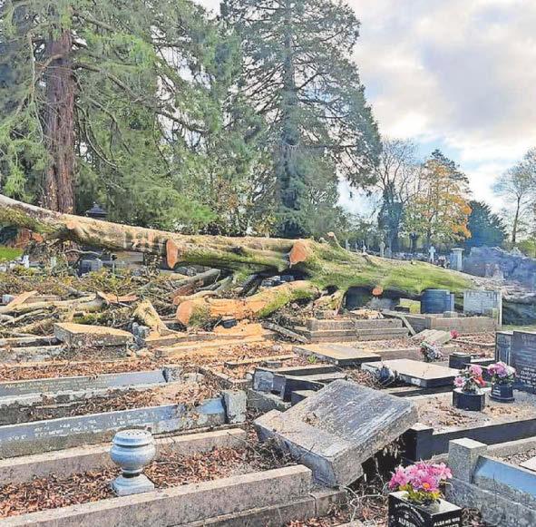 Family's distress over delay removing fallen tree from gravestones