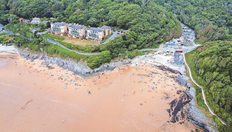 Beach pollution sparks calls for Bay clean-up