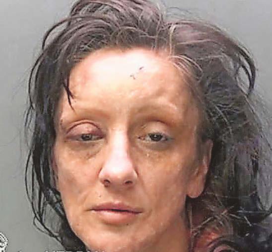 'Weapon' and drugs found at dealer's home