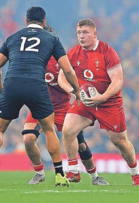 All Wales matches 'to be shown on free-to-air TV'