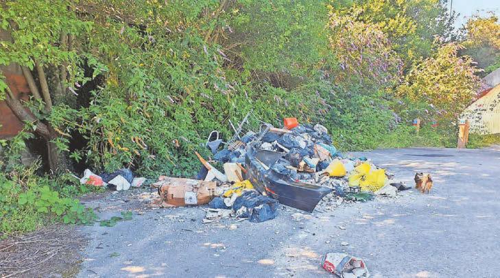 Fly-tipper must pay after trashing site