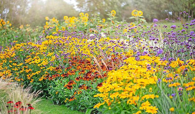 How to plant up a rainbow