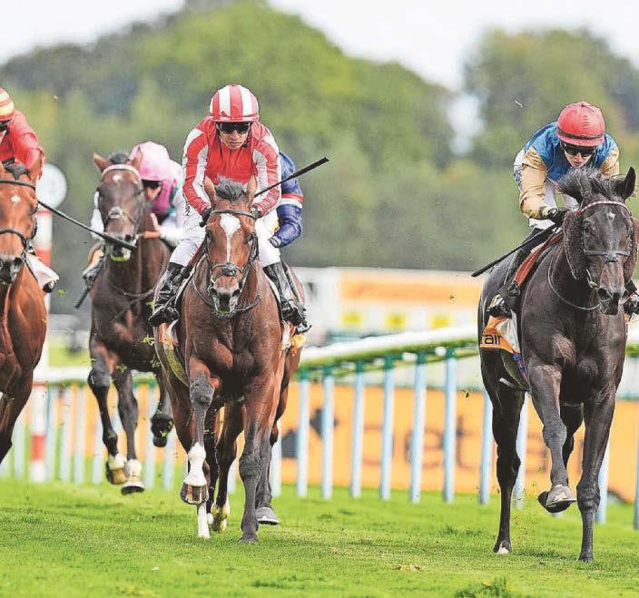 Ride The Thunder to storm to victory in ‘Pitmen’s Derby’