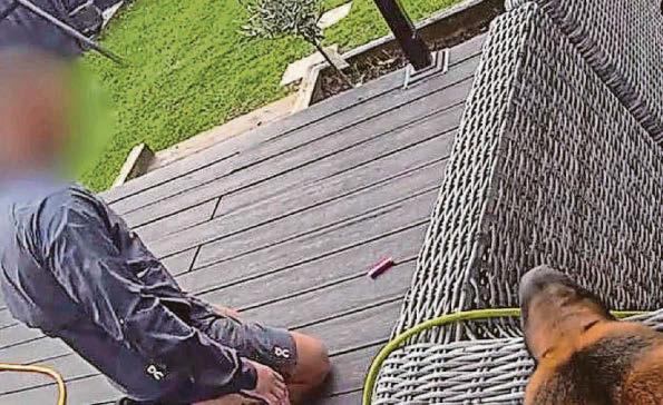 Police dog sniffs out a wanted man in garden