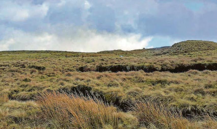 Plan to test conditions for new wind farm masts