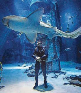 Snakes, sharks, sneaky hippos... wildlife is my safe space