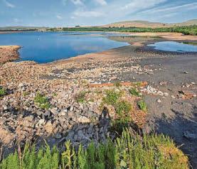 Indecent exposure suspect arrest