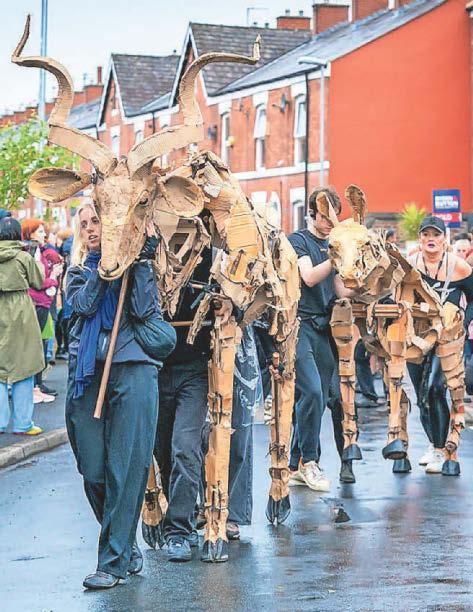 Herd hypnotises crowds as MIF comes to town