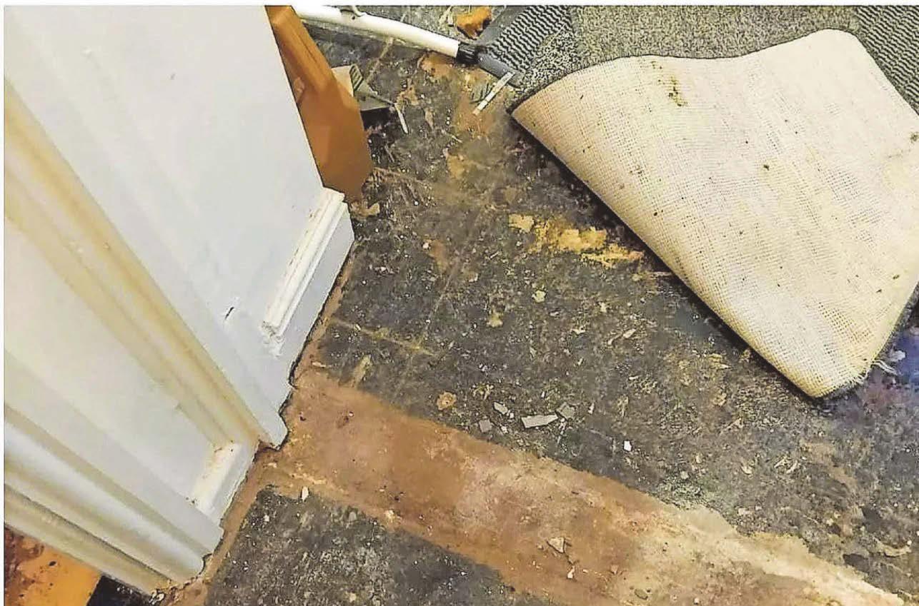 'I've been complaining about the rats and mould for years'