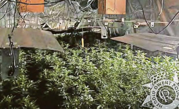 Cannabis discovery in converted farmhouse