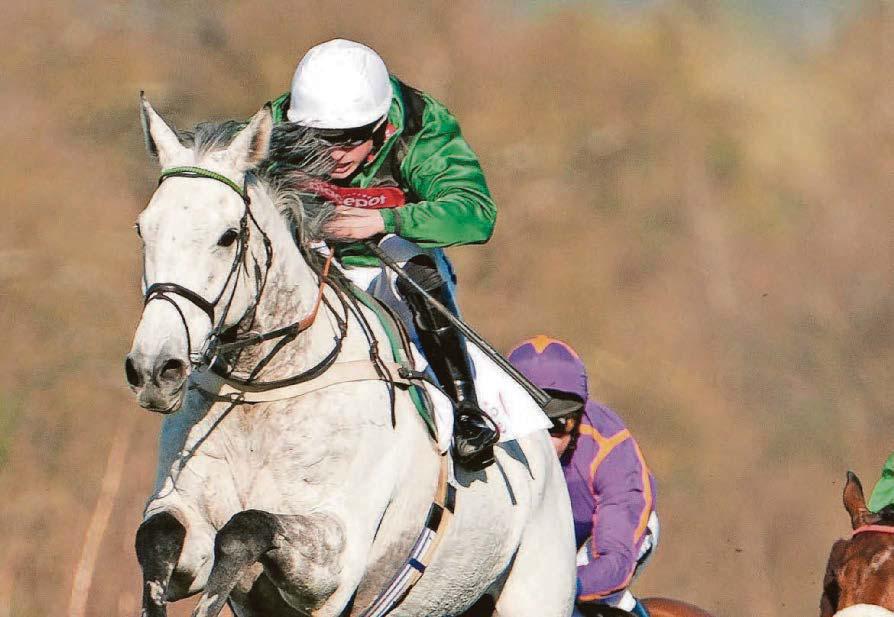 Numitor to reign again in Haydock Veterans' Chase