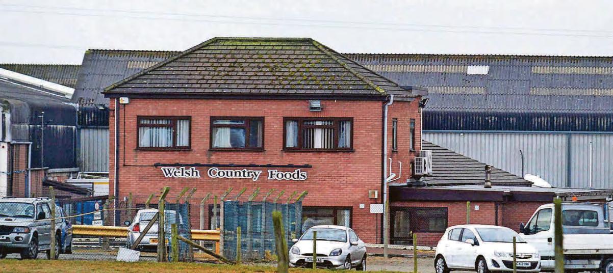 Worker's roof fall death 'wholly avoidable' – judge