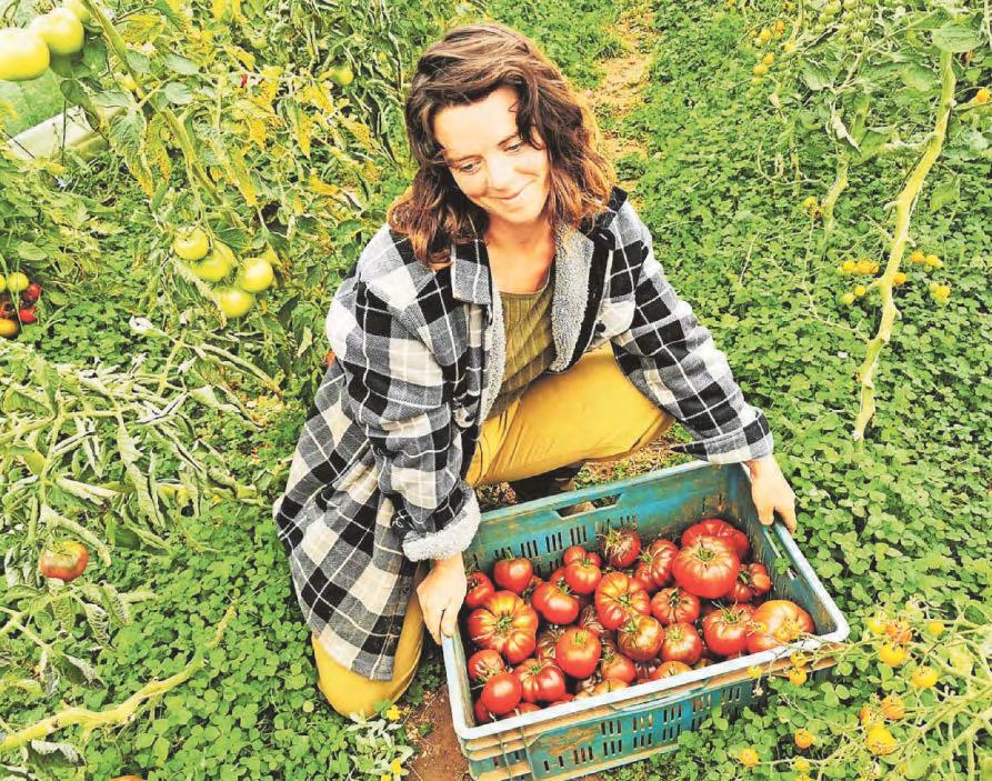 Farmers and growers praying for rain after dry conditions