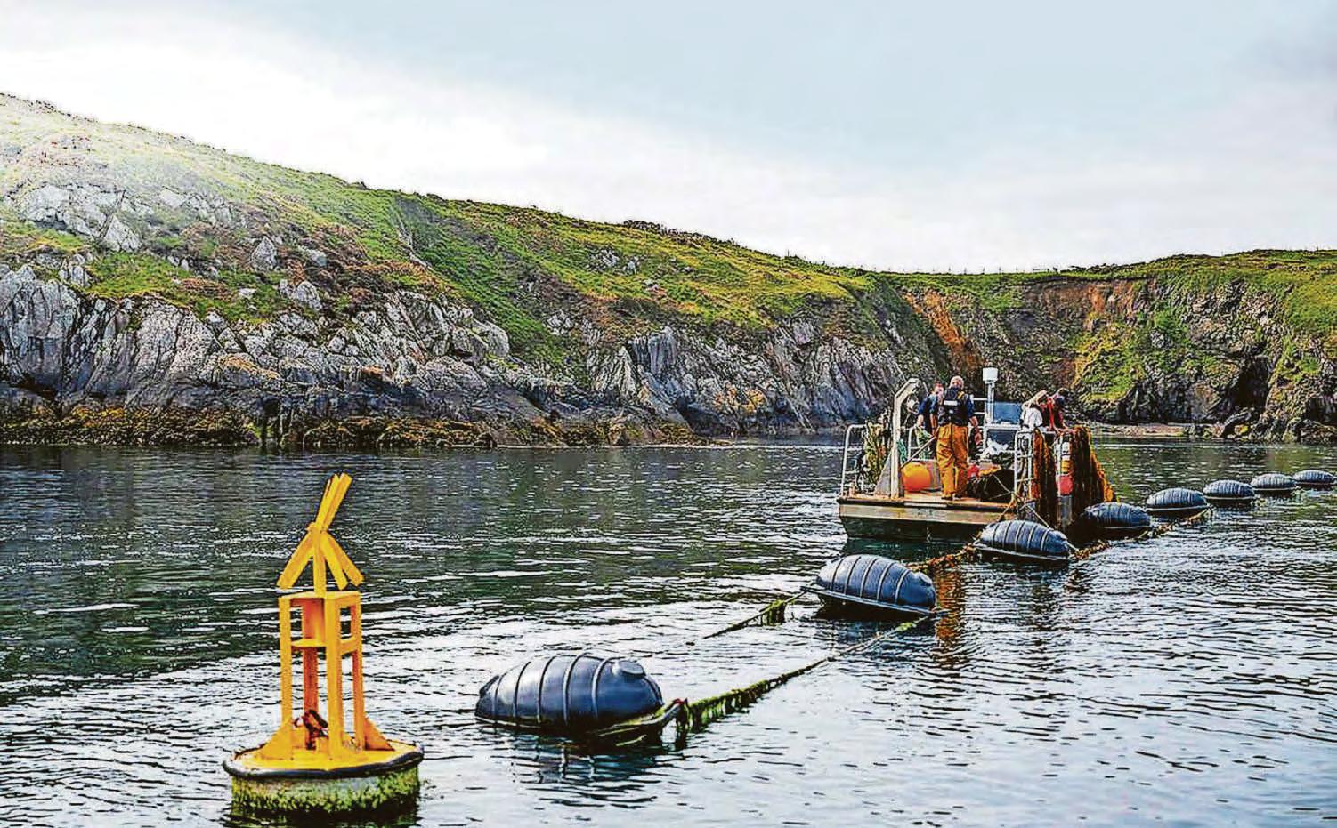 Project to harness the power of Welsh seaweed gets £1m boost